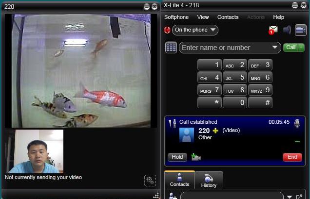 PA6488 and X-Lite fish demo screenshot
